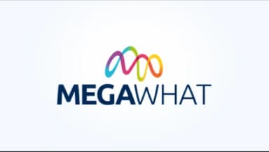MegaWhat